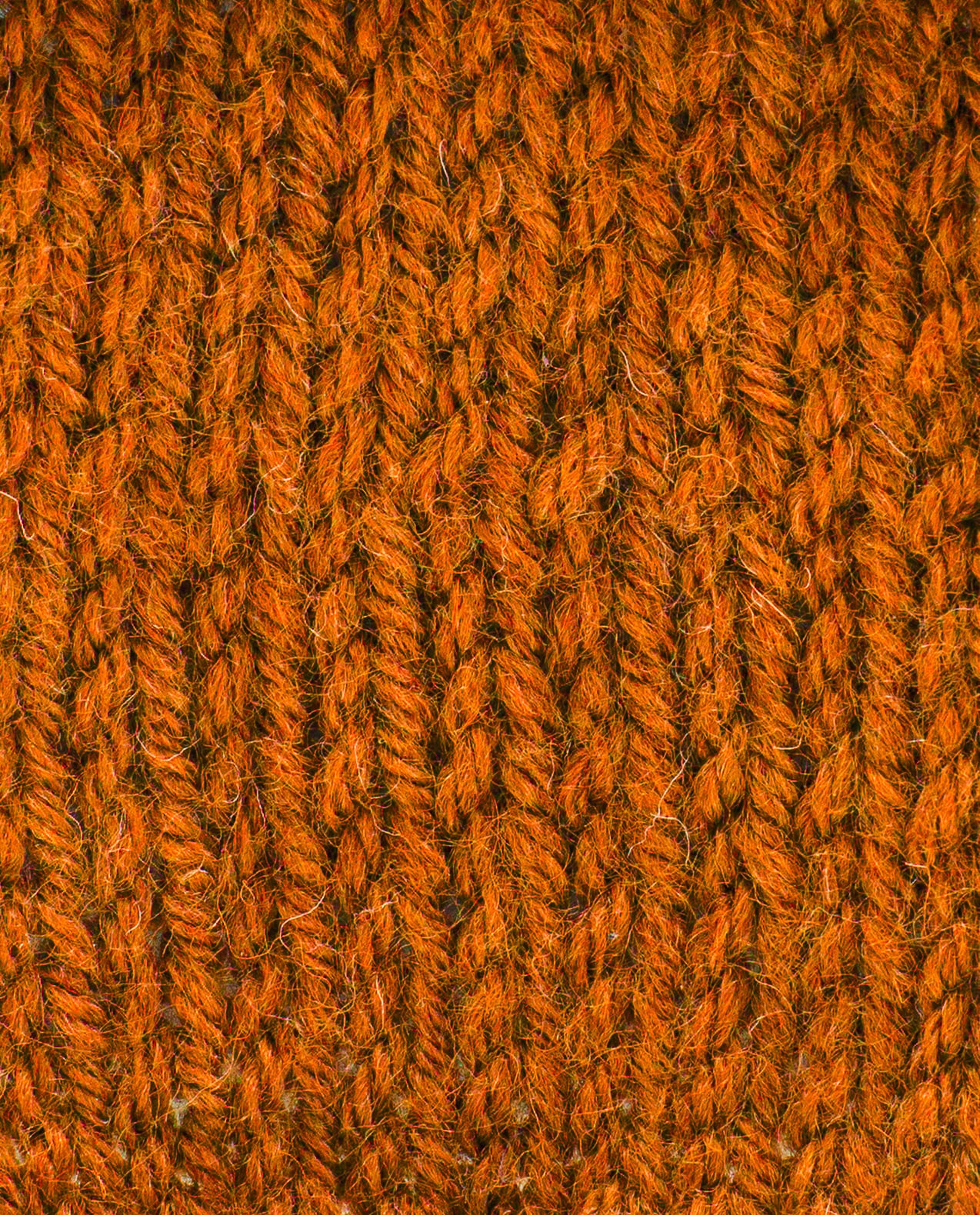 Pingo Yarn 3