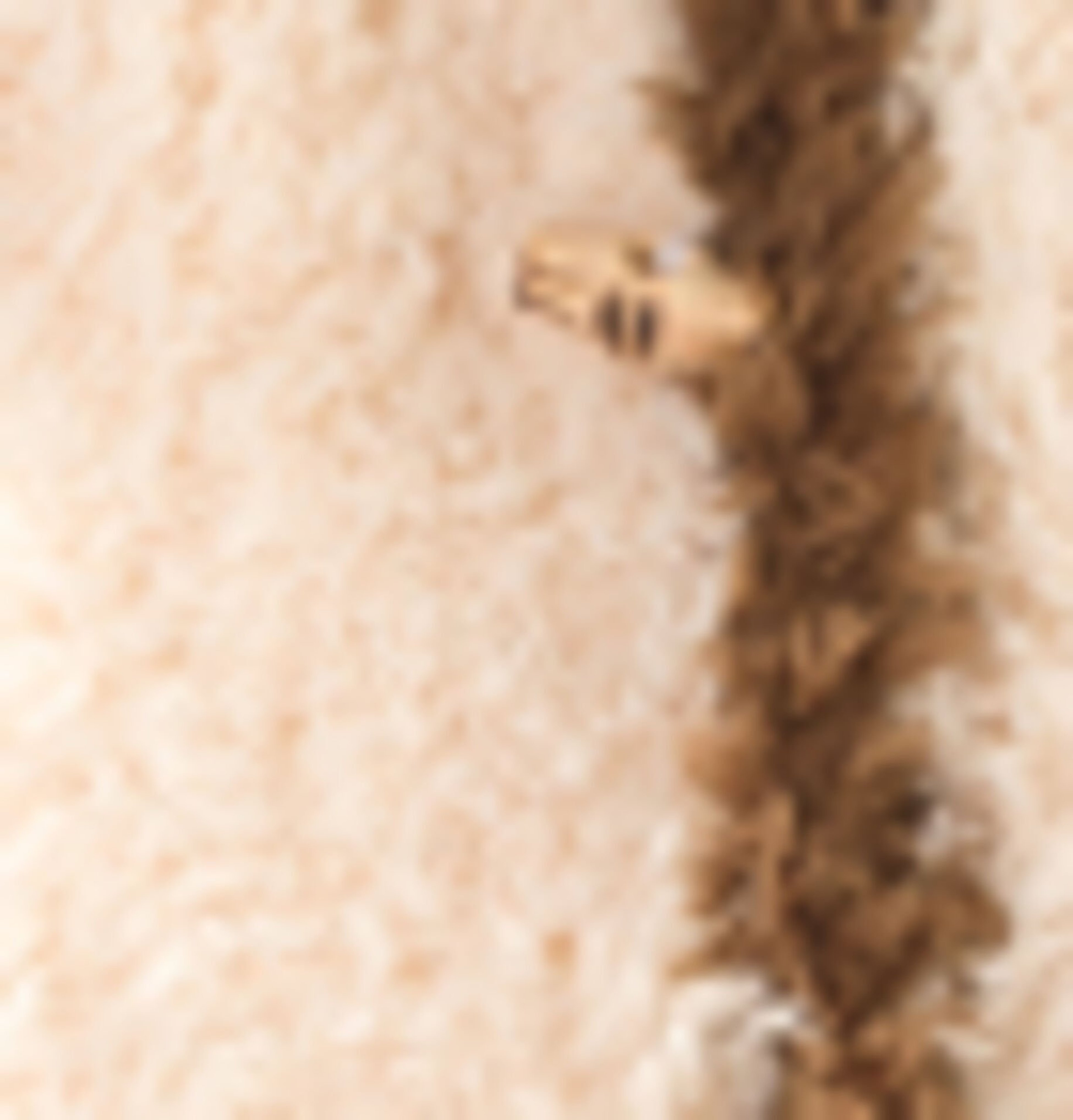 Phil Nounours Baby Jacket Pattern