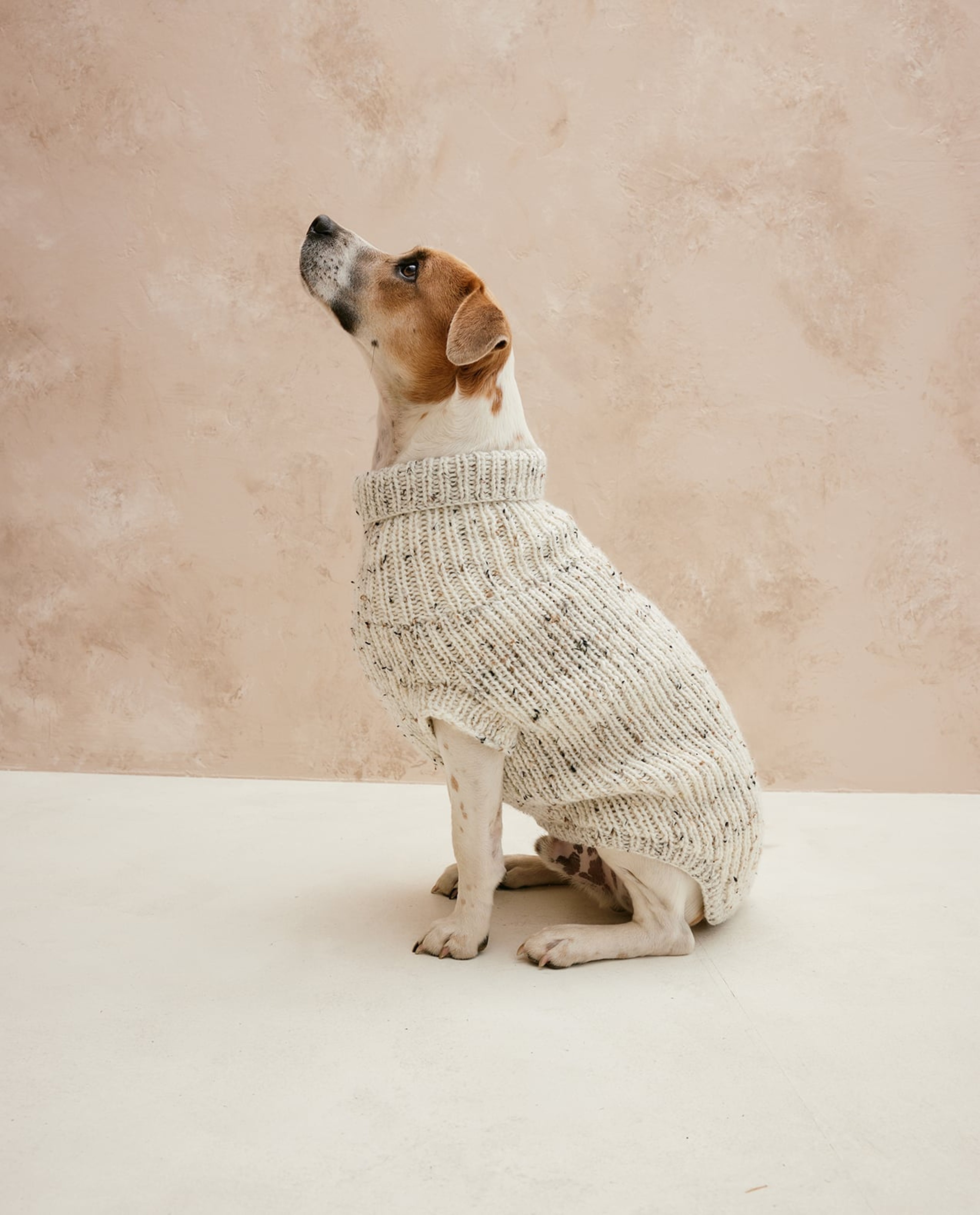 Breikit Hondentrui Tamtam