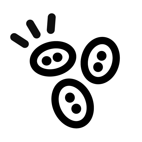 PPY-BOUTONS-Artboard 26 copy 2 copie 3