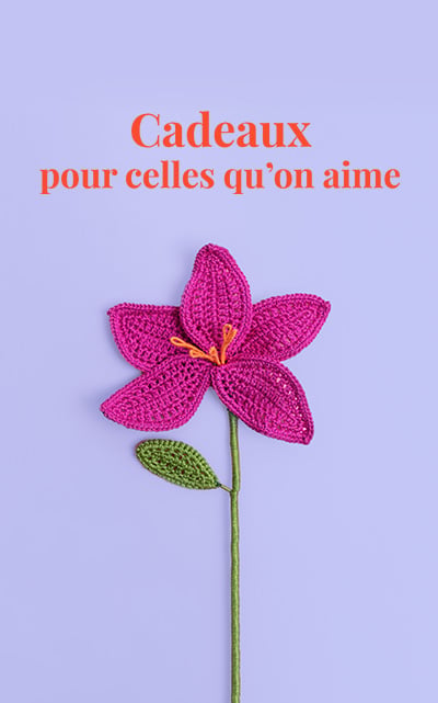 EMS-PLOT-PRODUIT_400x641fdm_FR.jpg