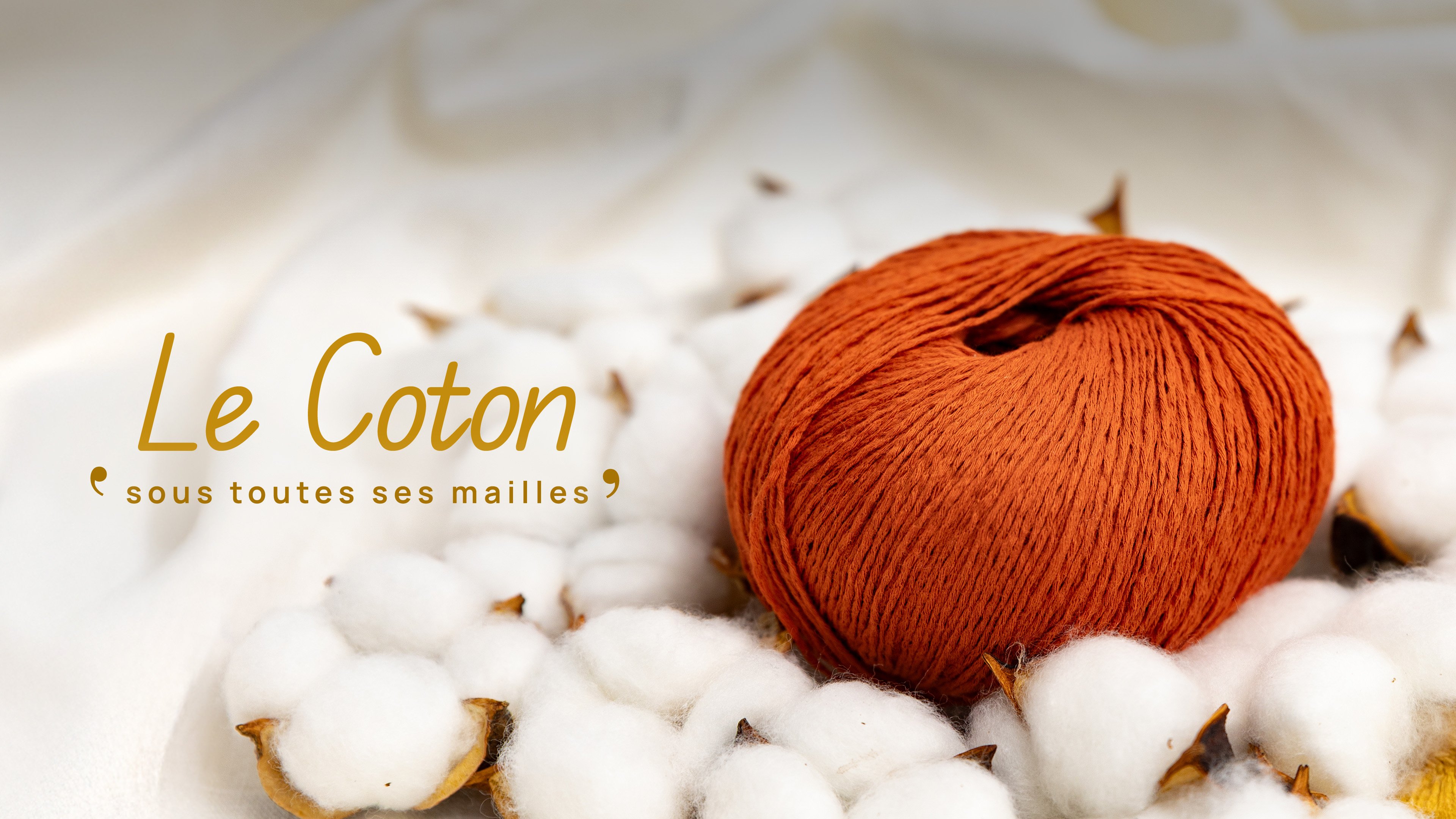 HB HW ENVIE DE PRINTEMPS