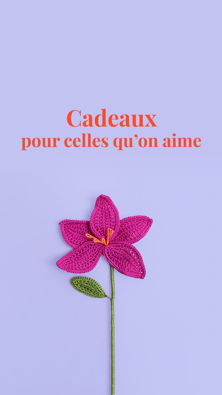 HB HW FDM GENERIQUE
