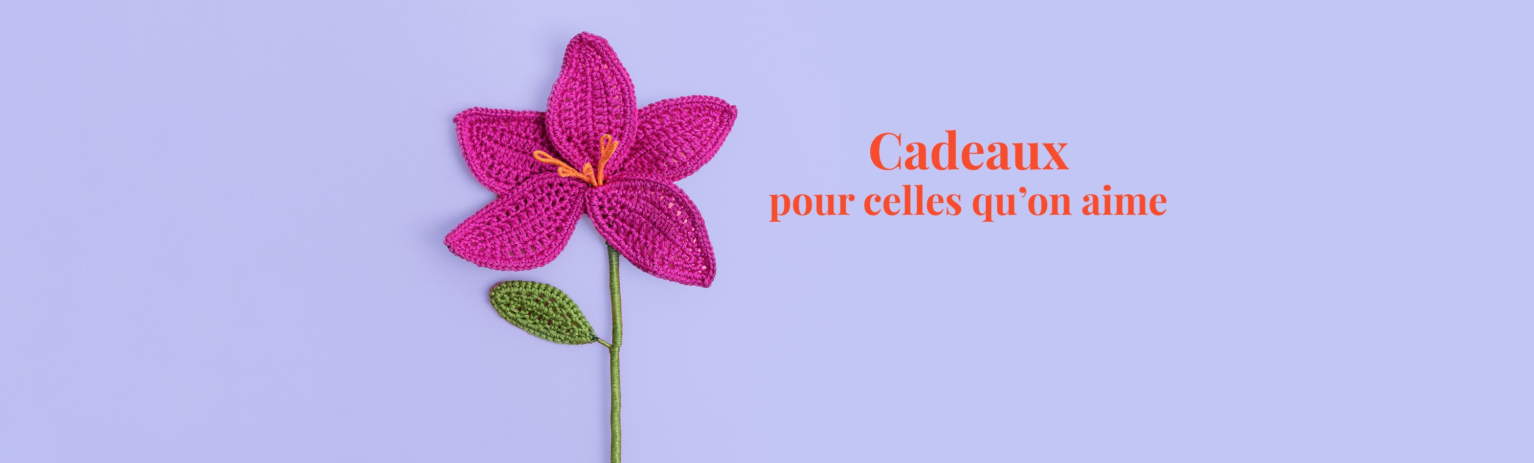 HB MARQUE FDM GENERIQUE
