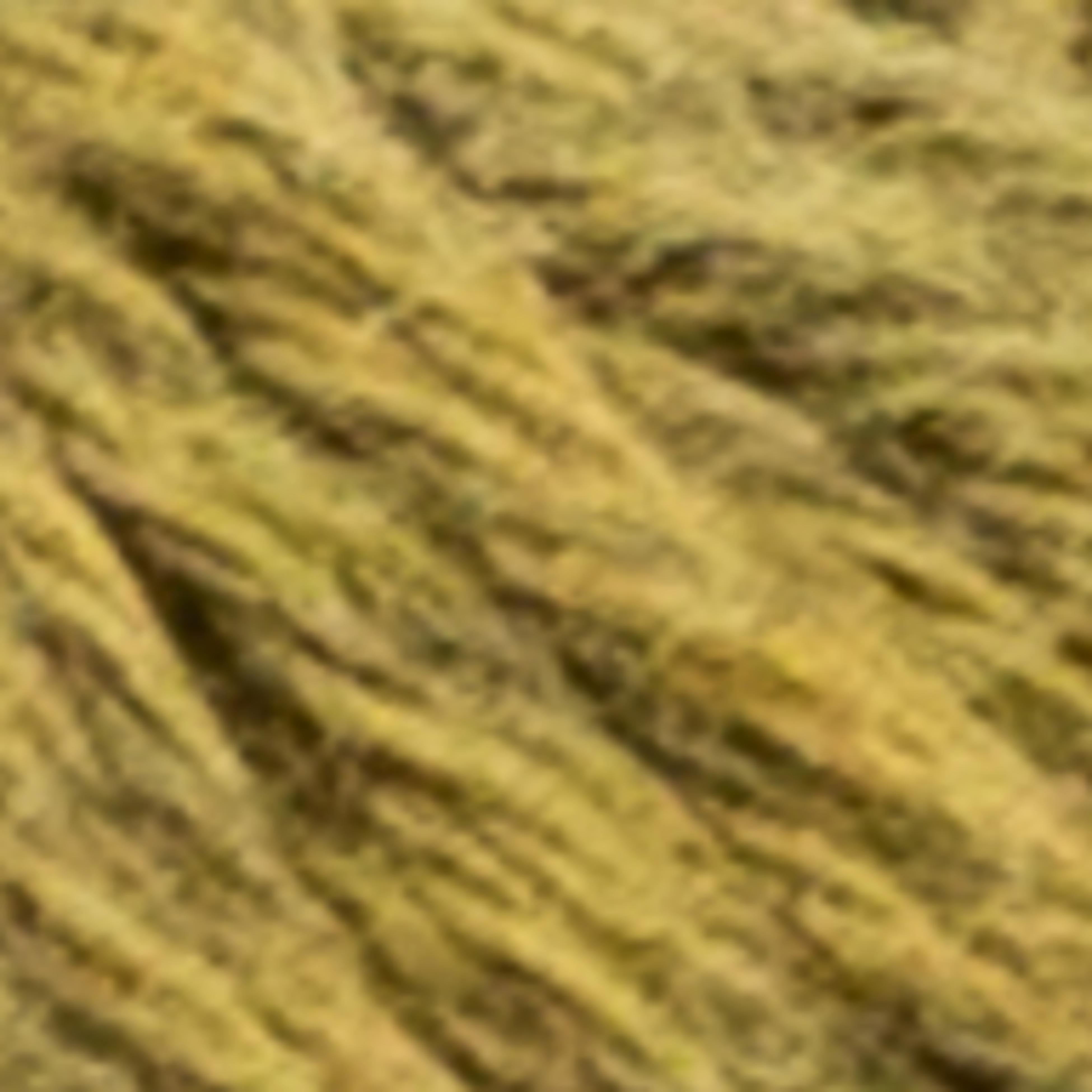 Variant thumbnail