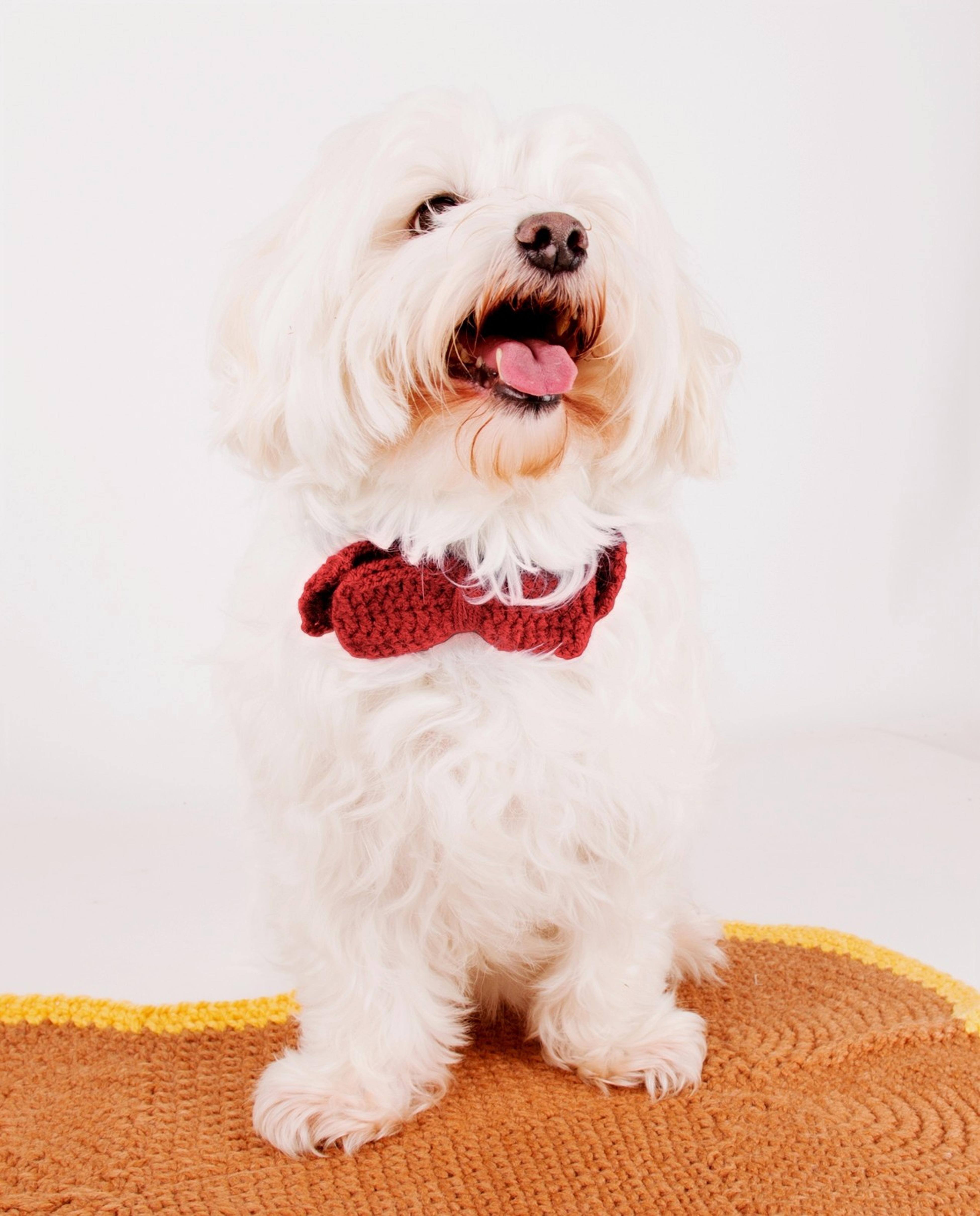 Animal Pattern - Cherry Bow Tie