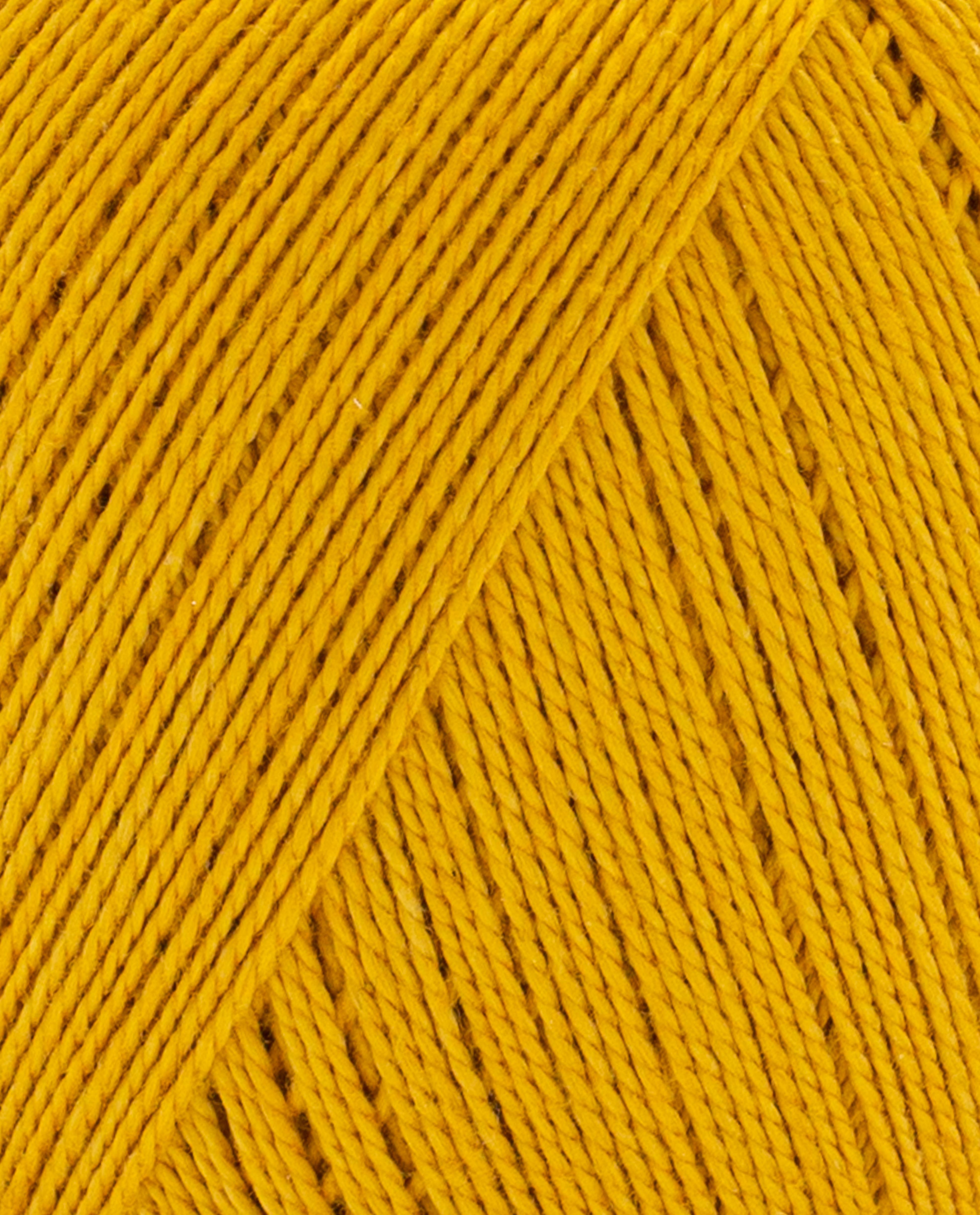 Phil Perle 5