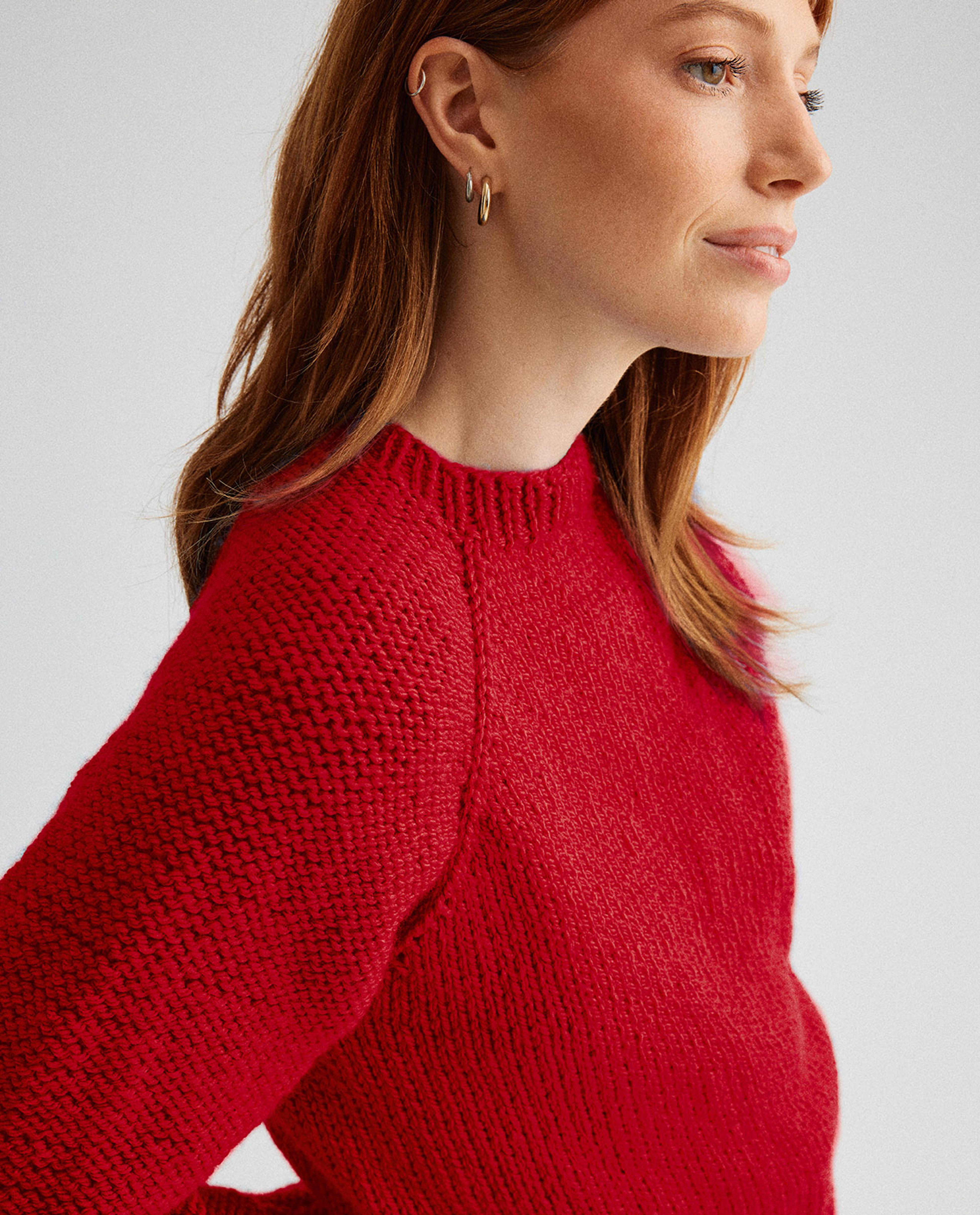 icone CERISE