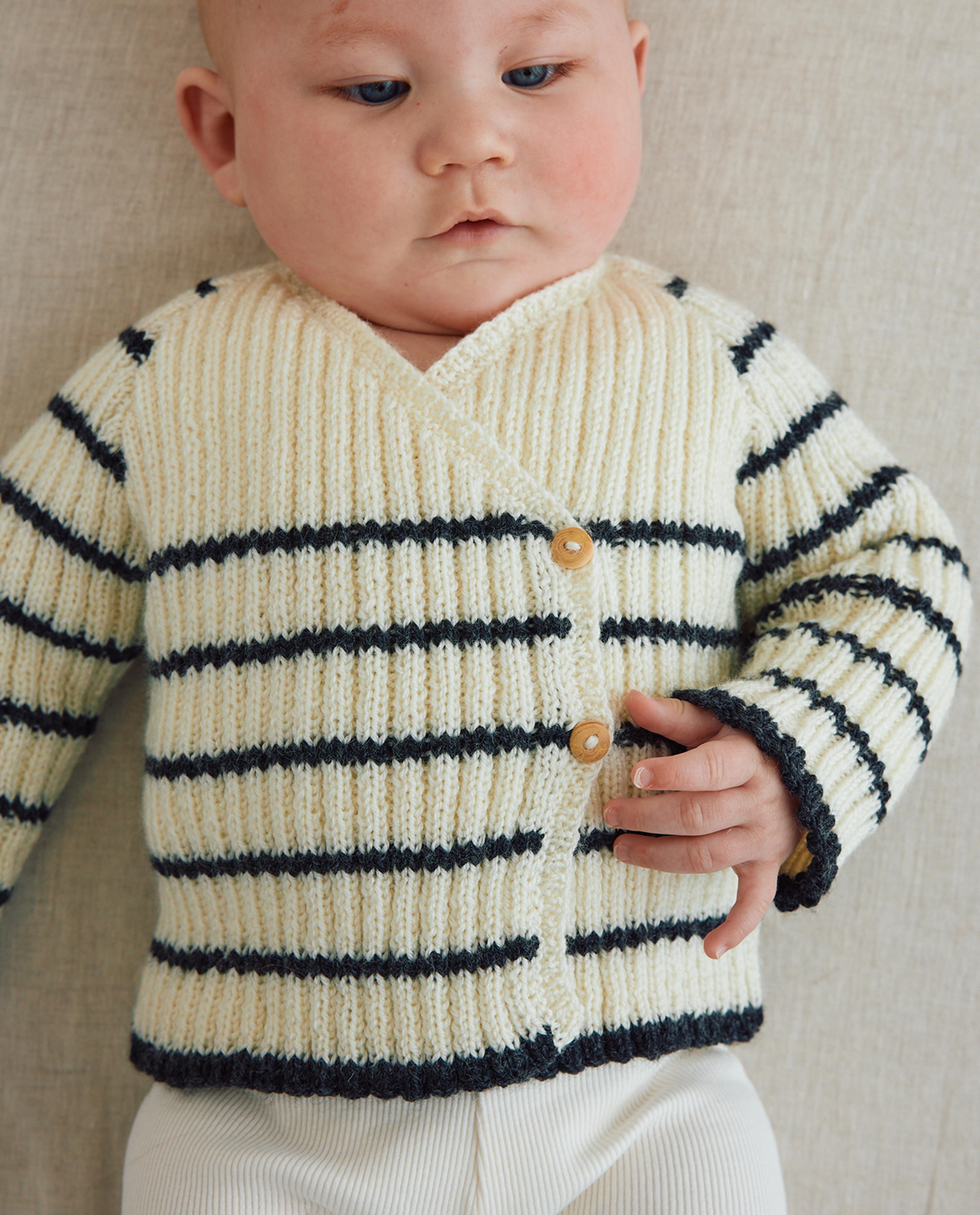Nikola Babymodel Ensemble