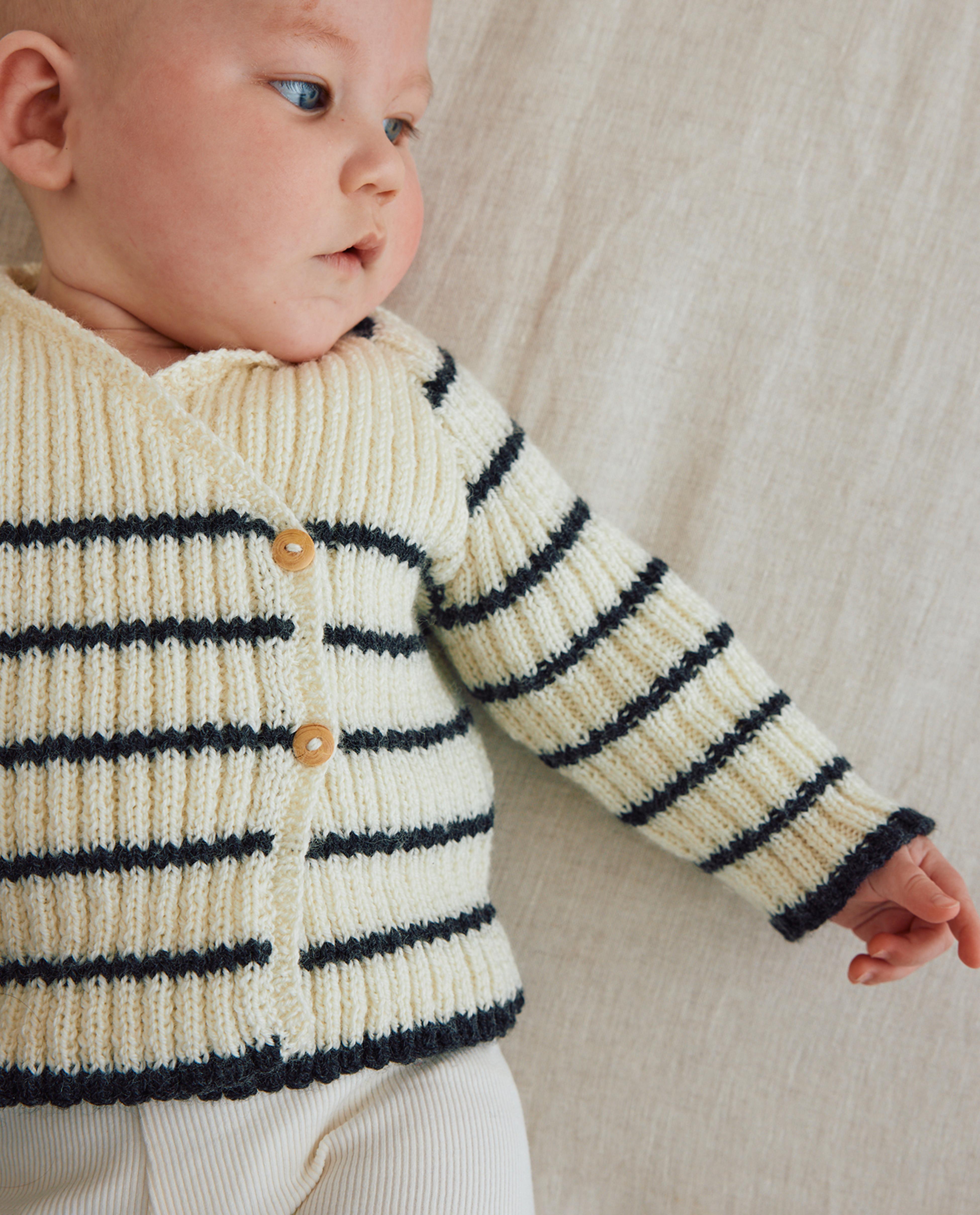 Nikola Babymodel Ensemble