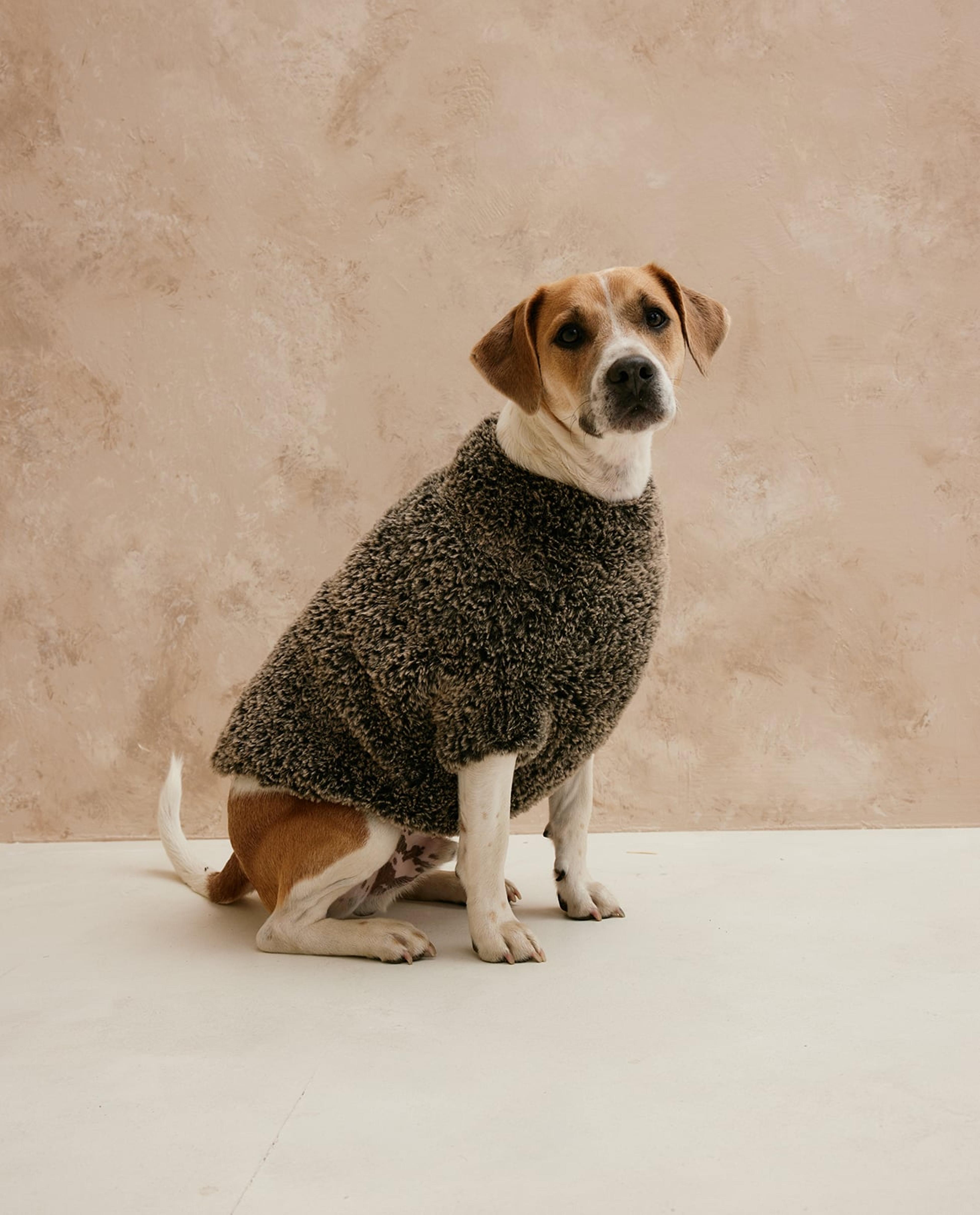 Model Hondentrui Woef