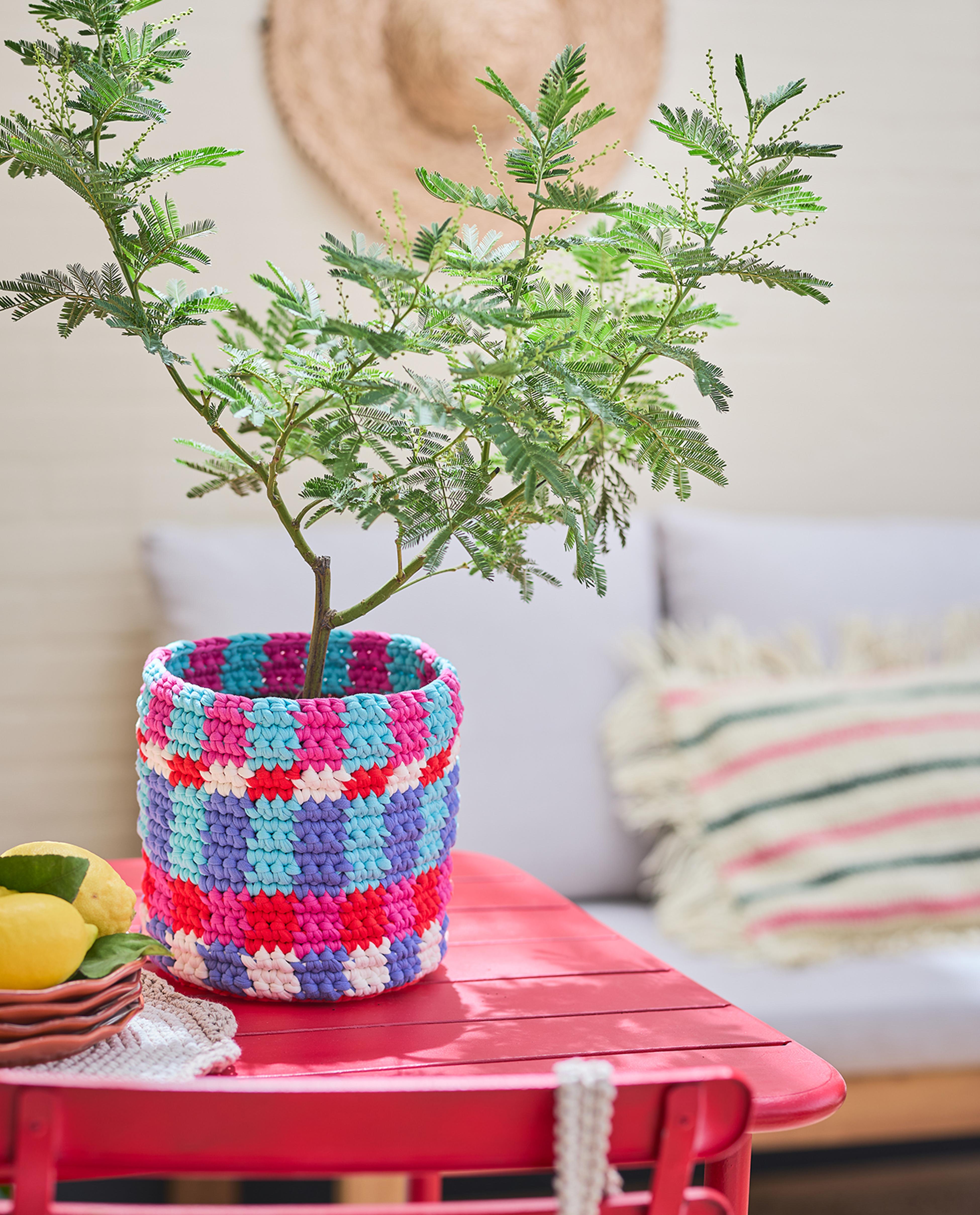 Modèle Décoration Cache Pot Lecce
