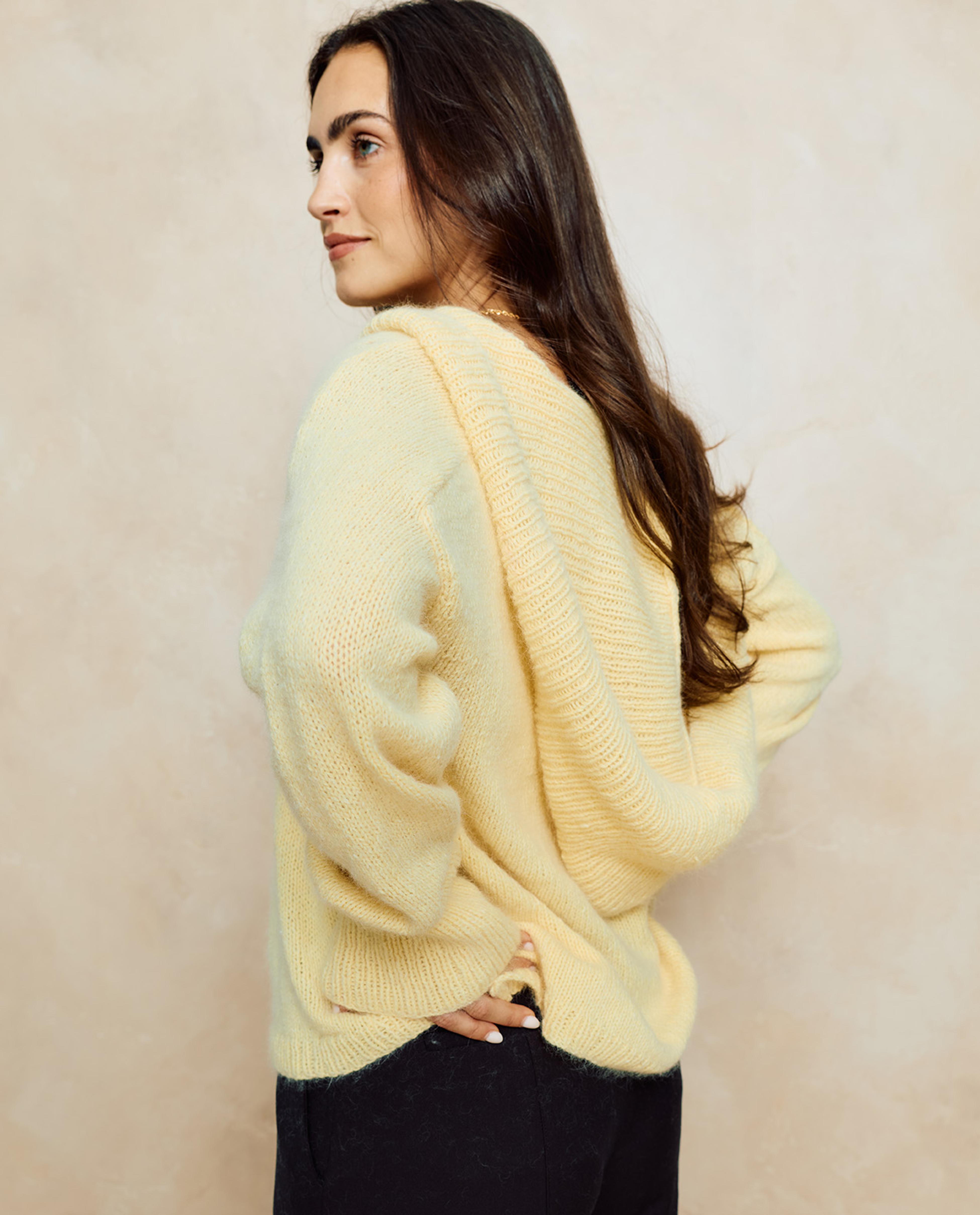 Modèle Pull Femme Prune