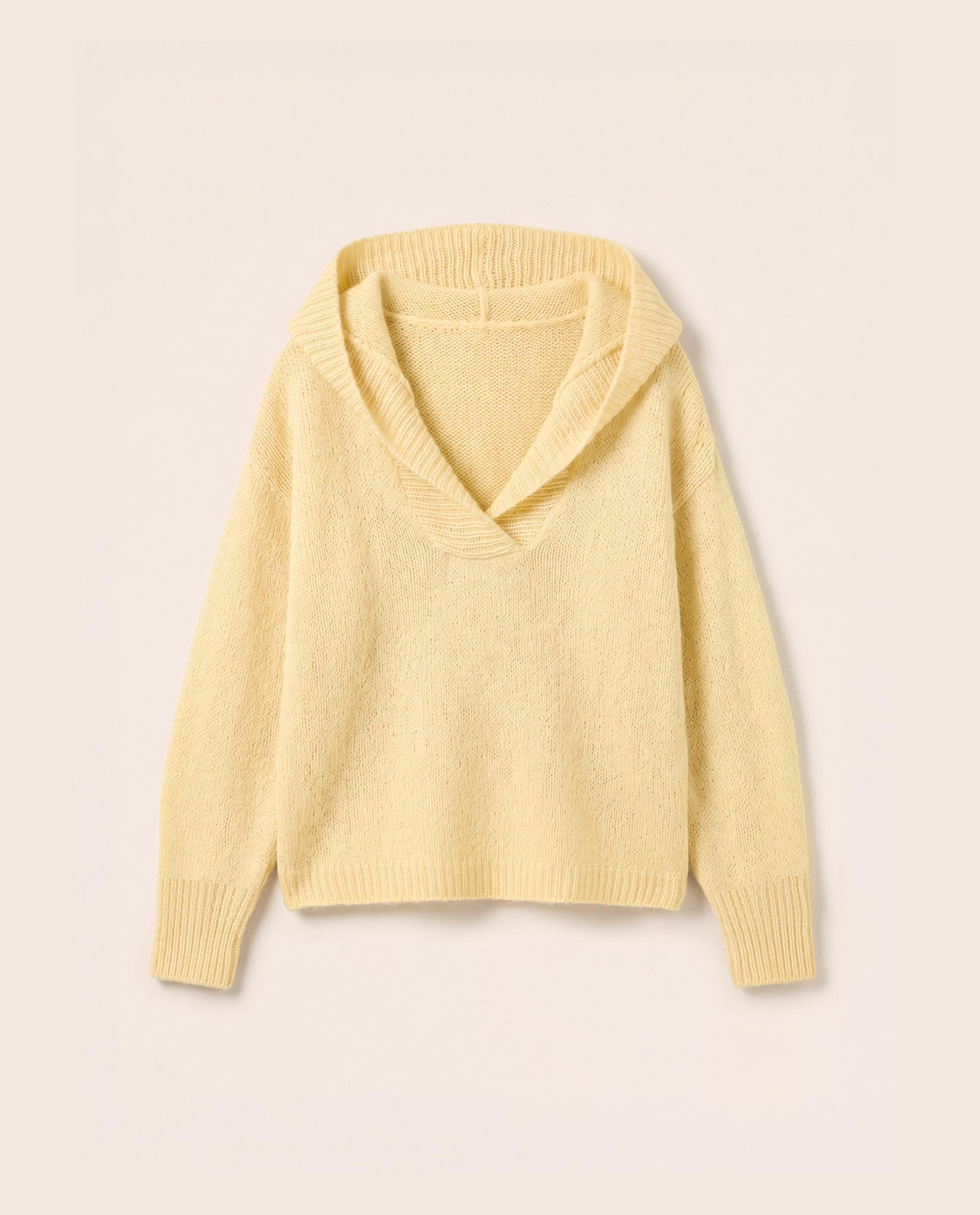 Modèle Pull Femme Prune
