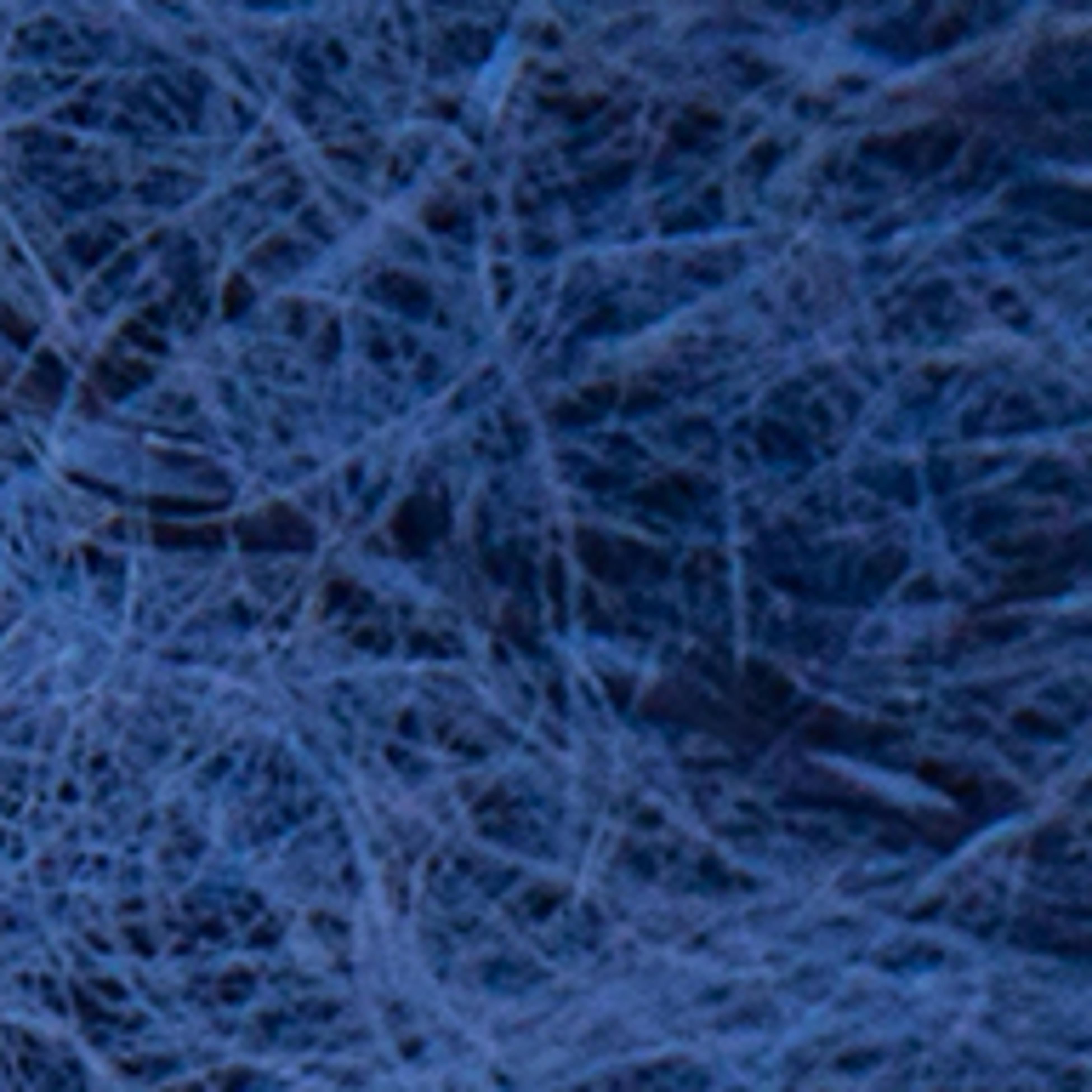 Variant thumbnail