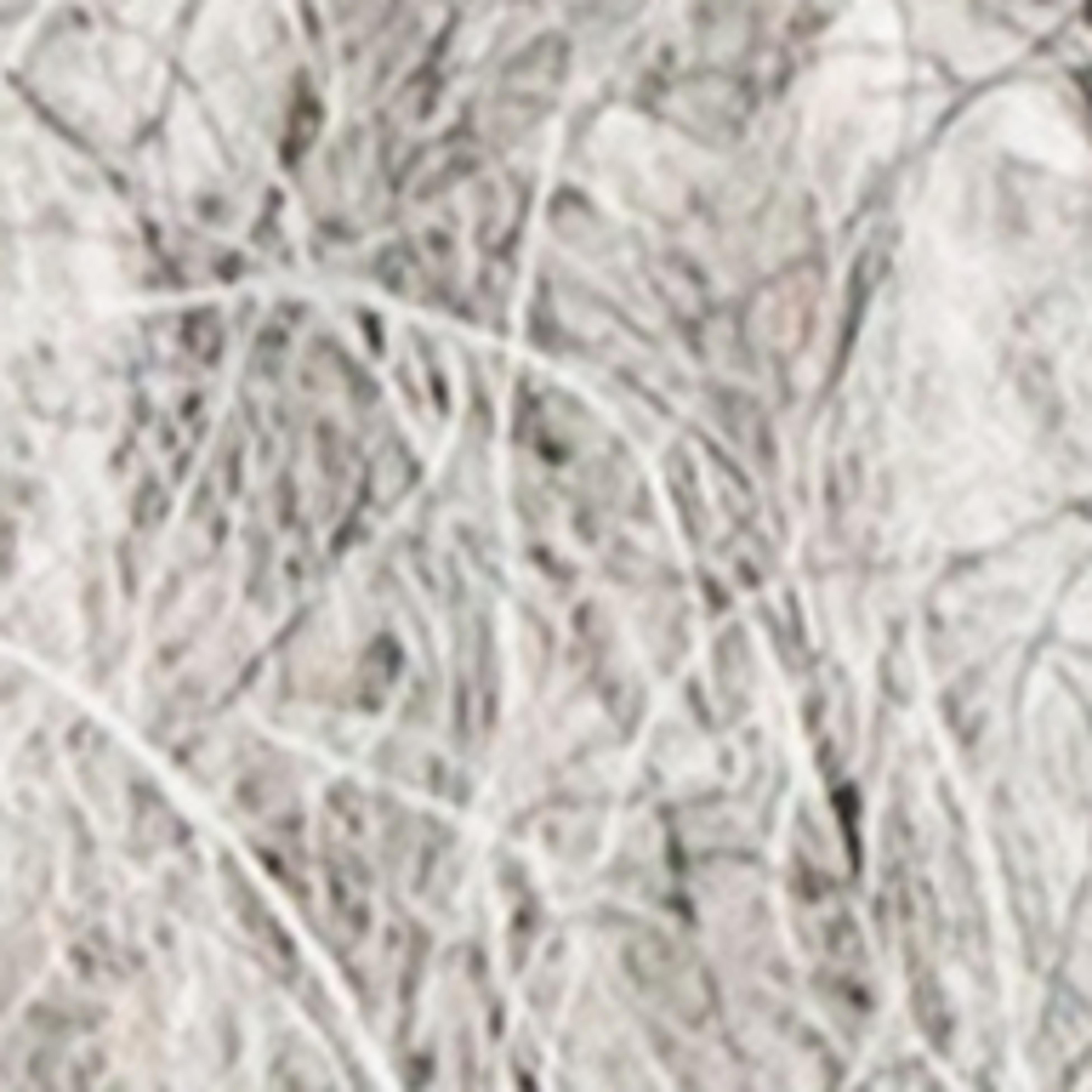 Variant thumbnail