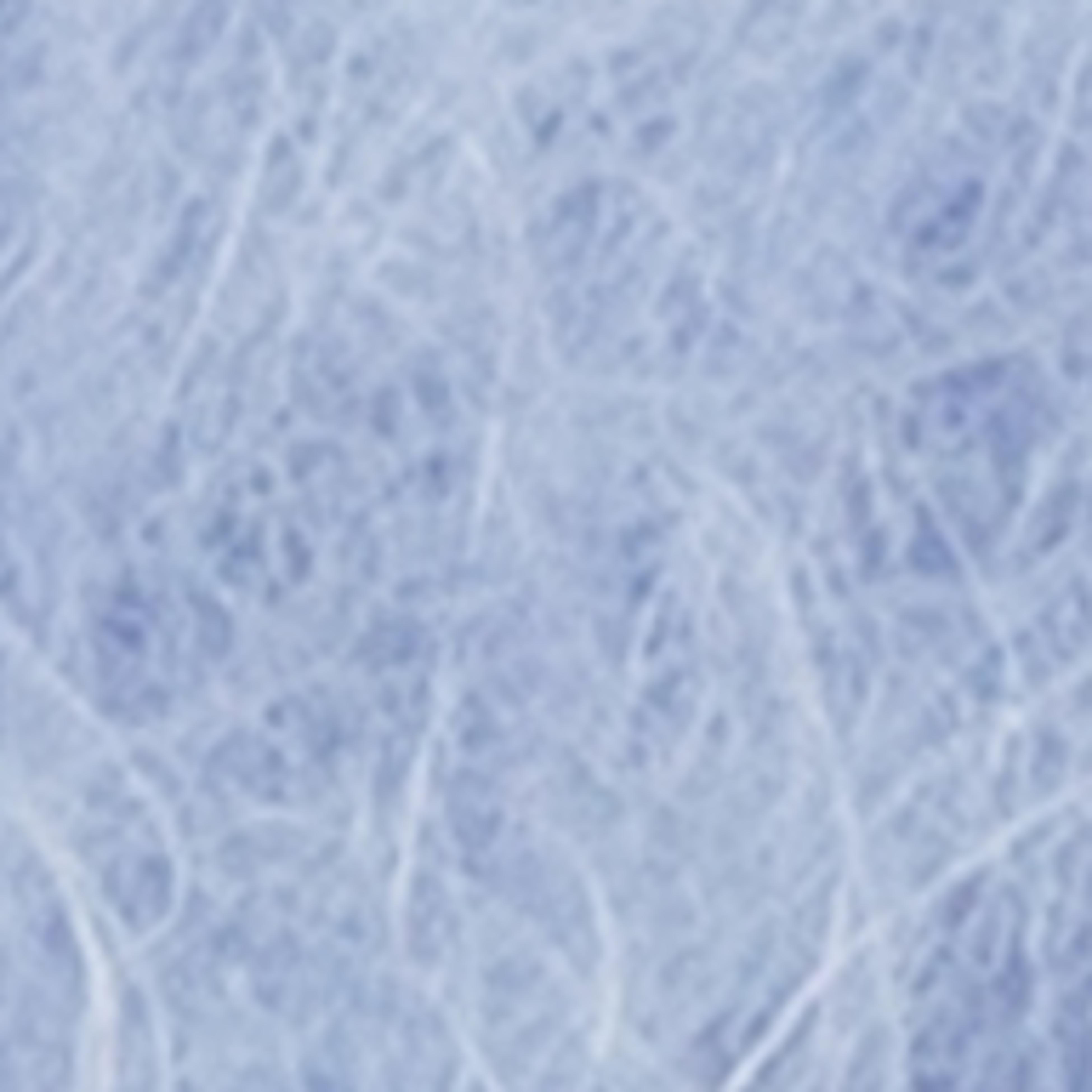 BLEUET