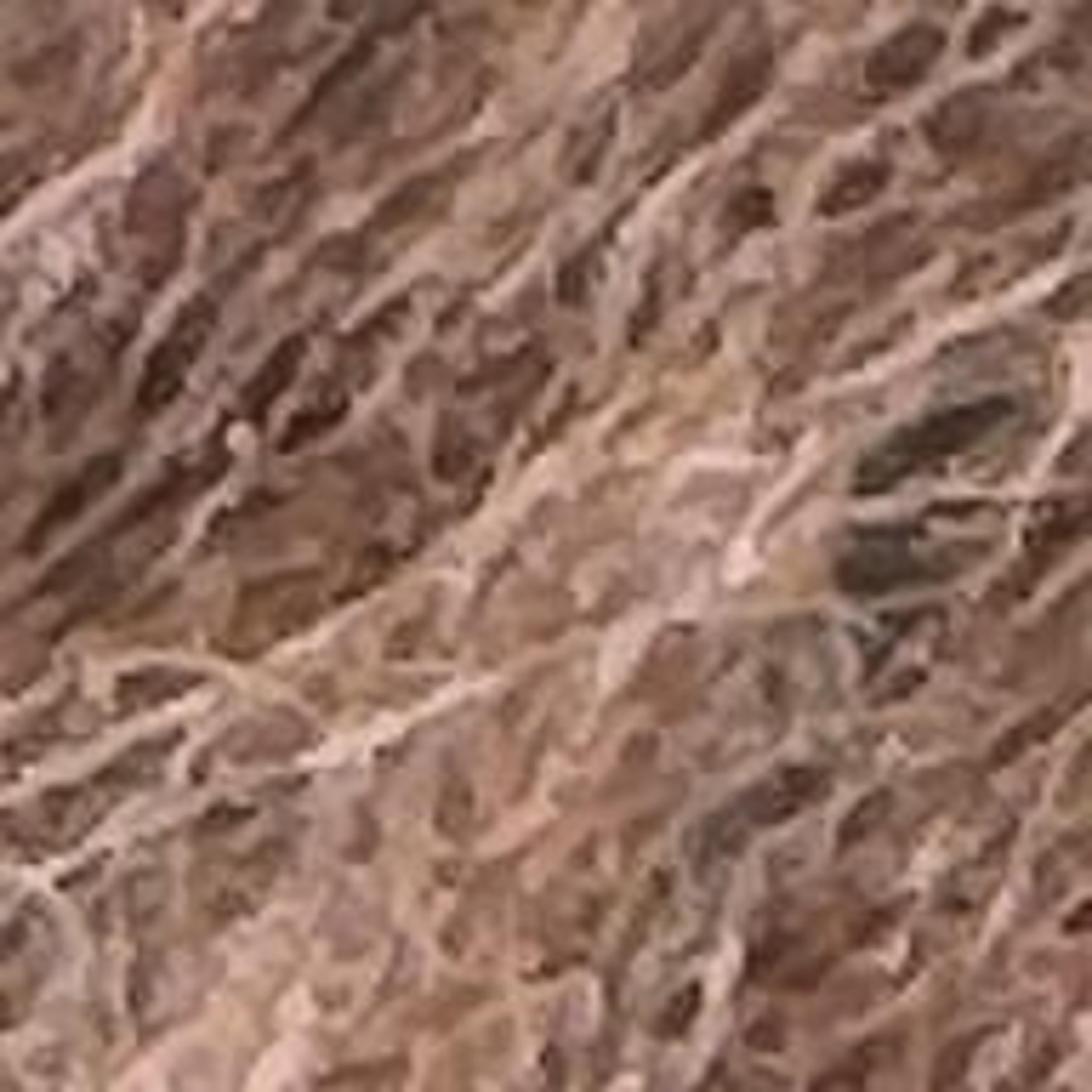 Variant thumbnail