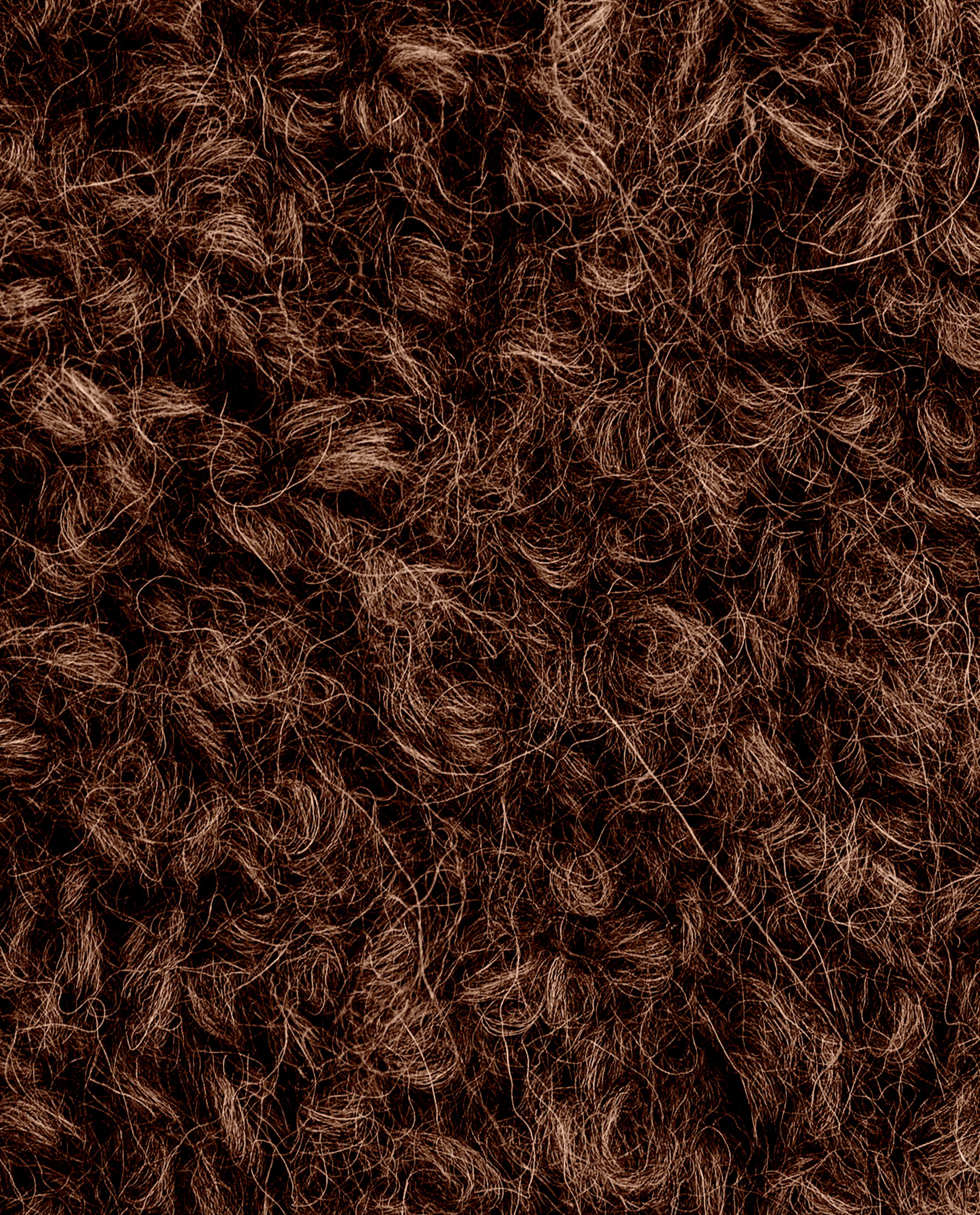 Phil Alpaga Boucle