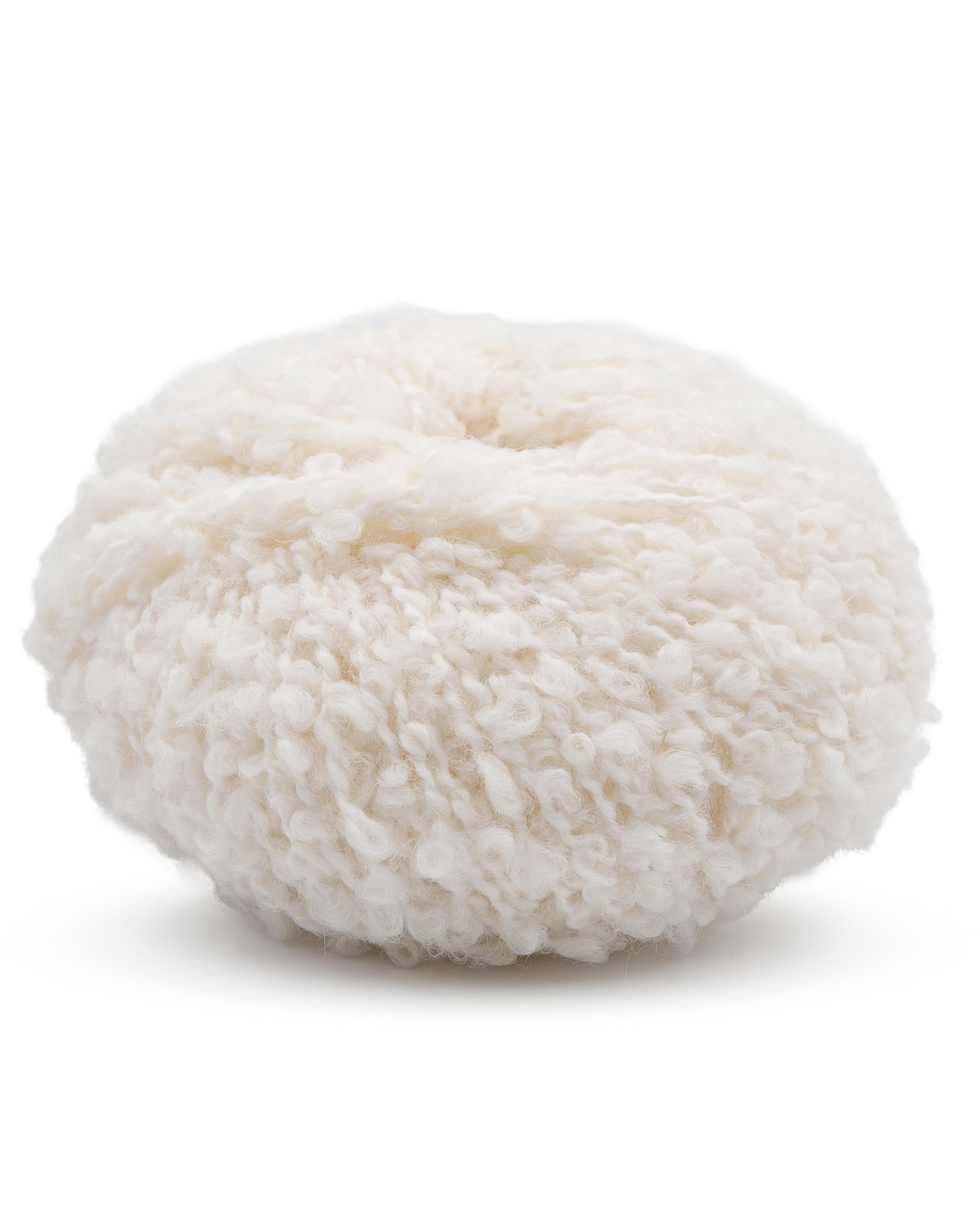 Phil Alpaga Boucle