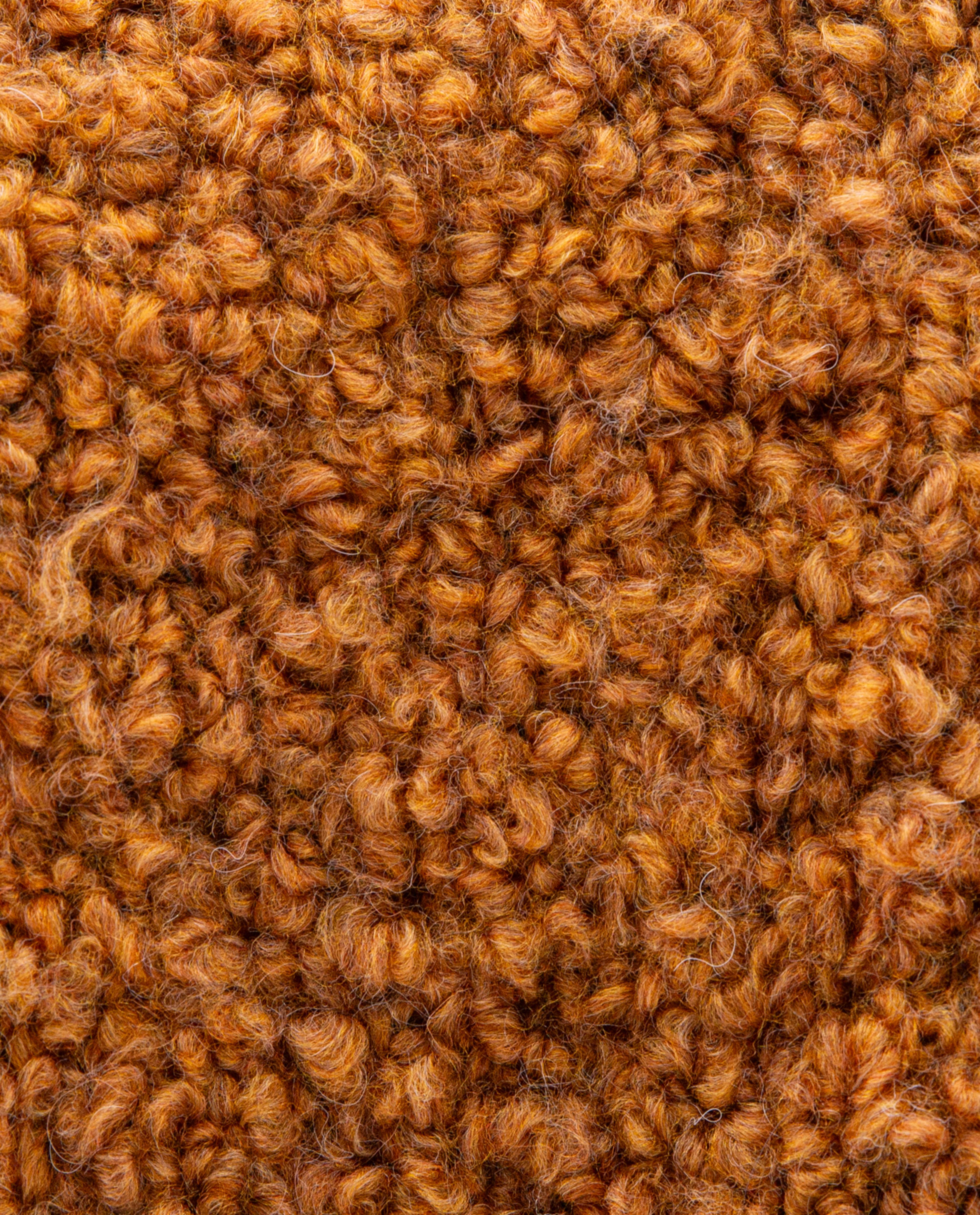 Pingo Curl Alpaga
