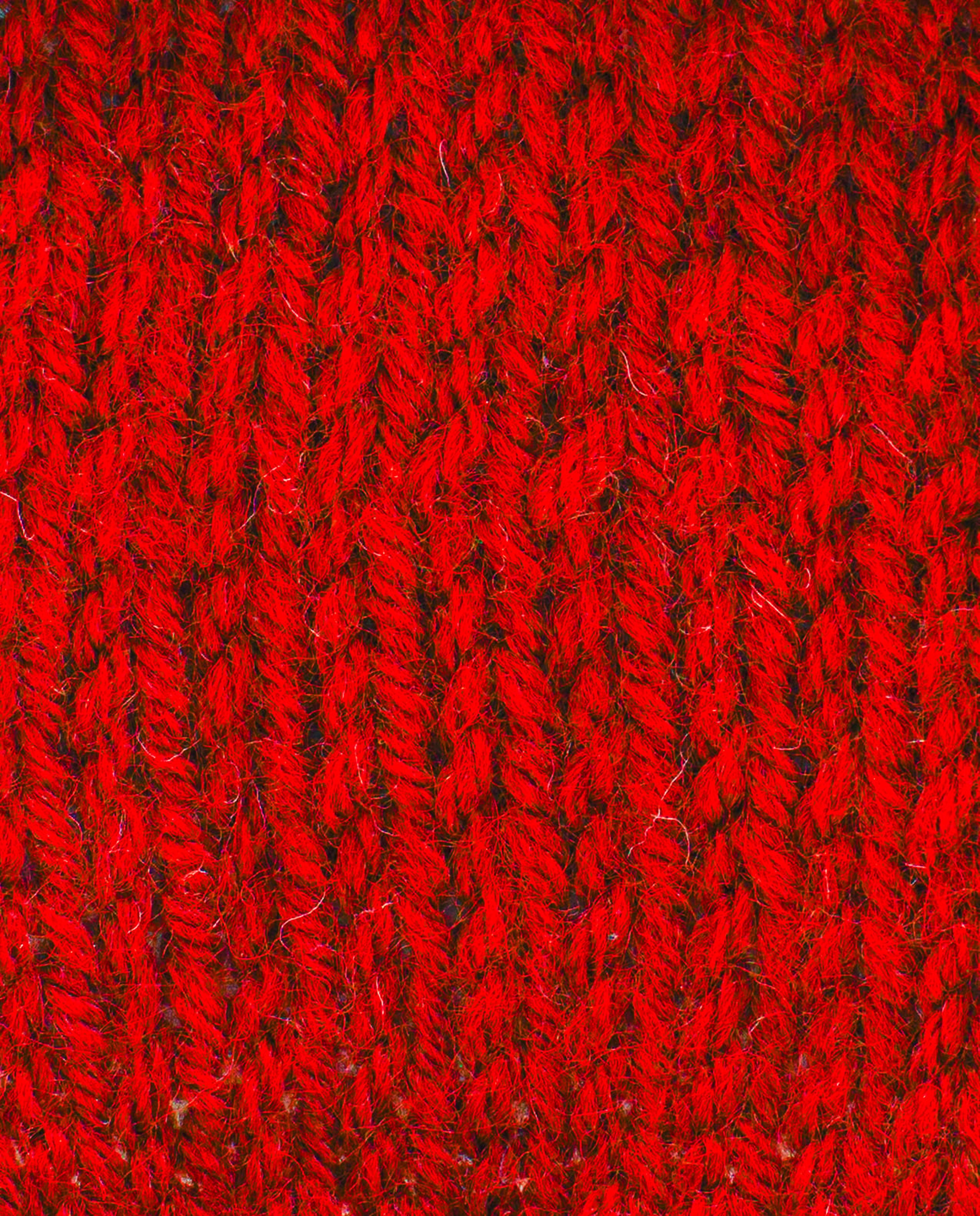Pingo Yarn 3