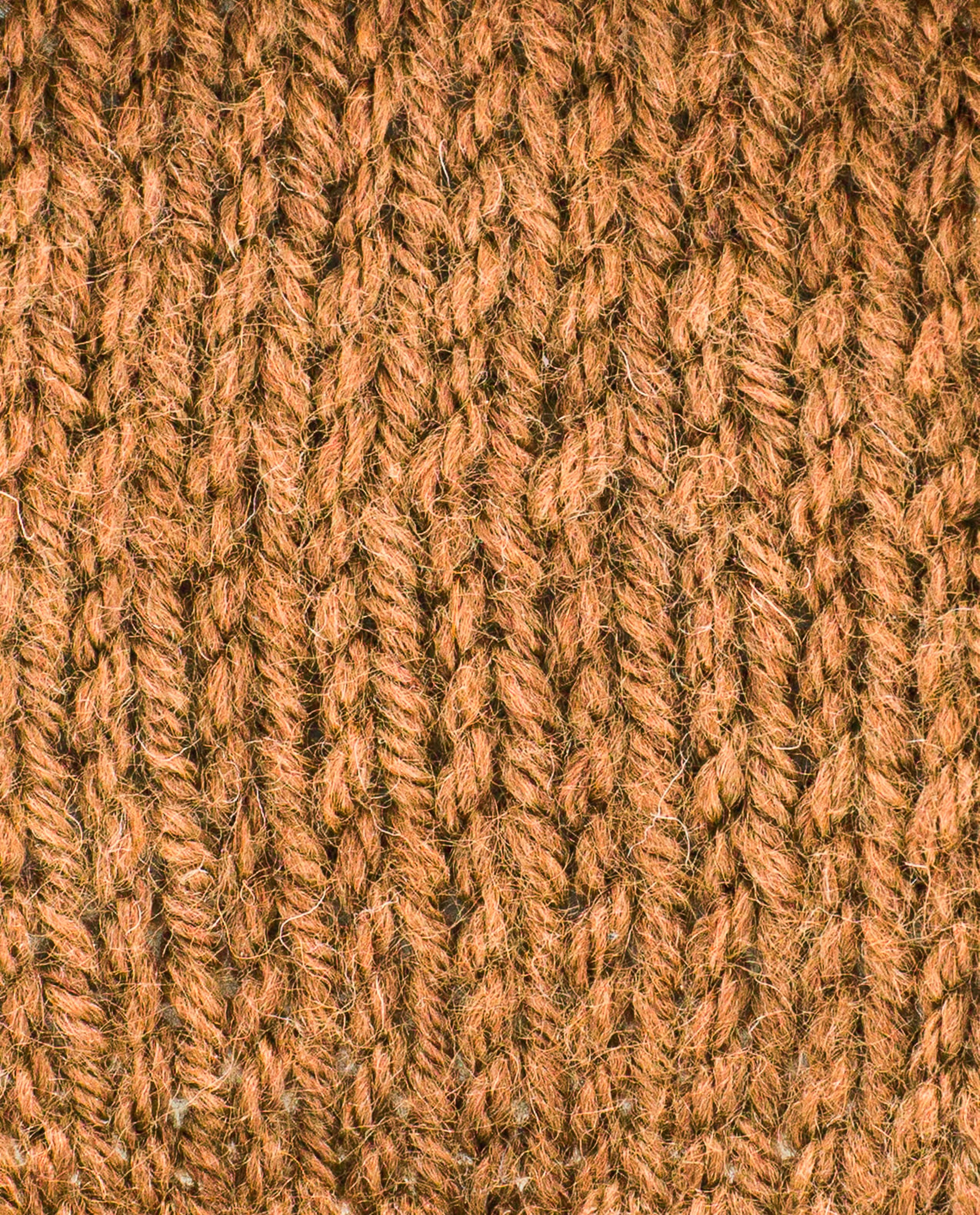 Pingo Yarn 3