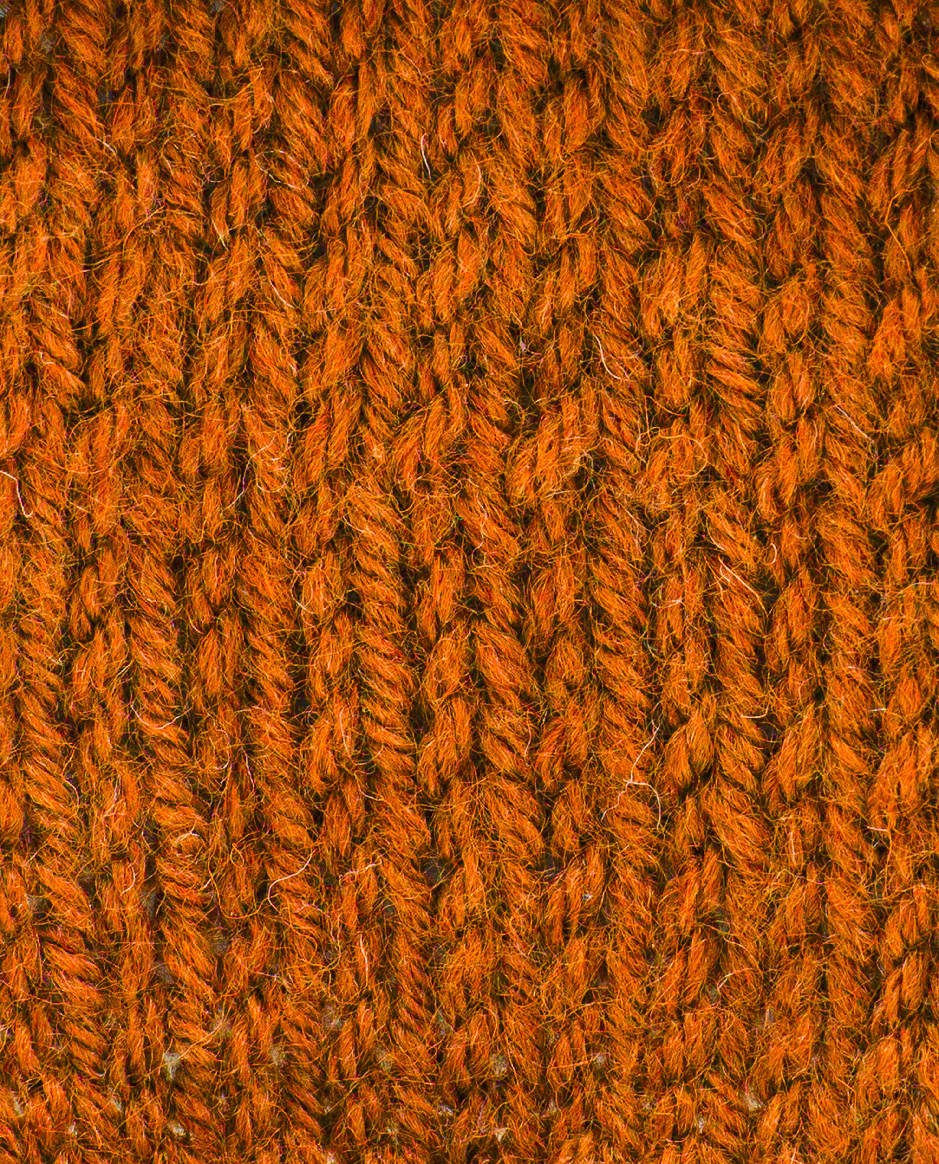 Pingo Yarn 3