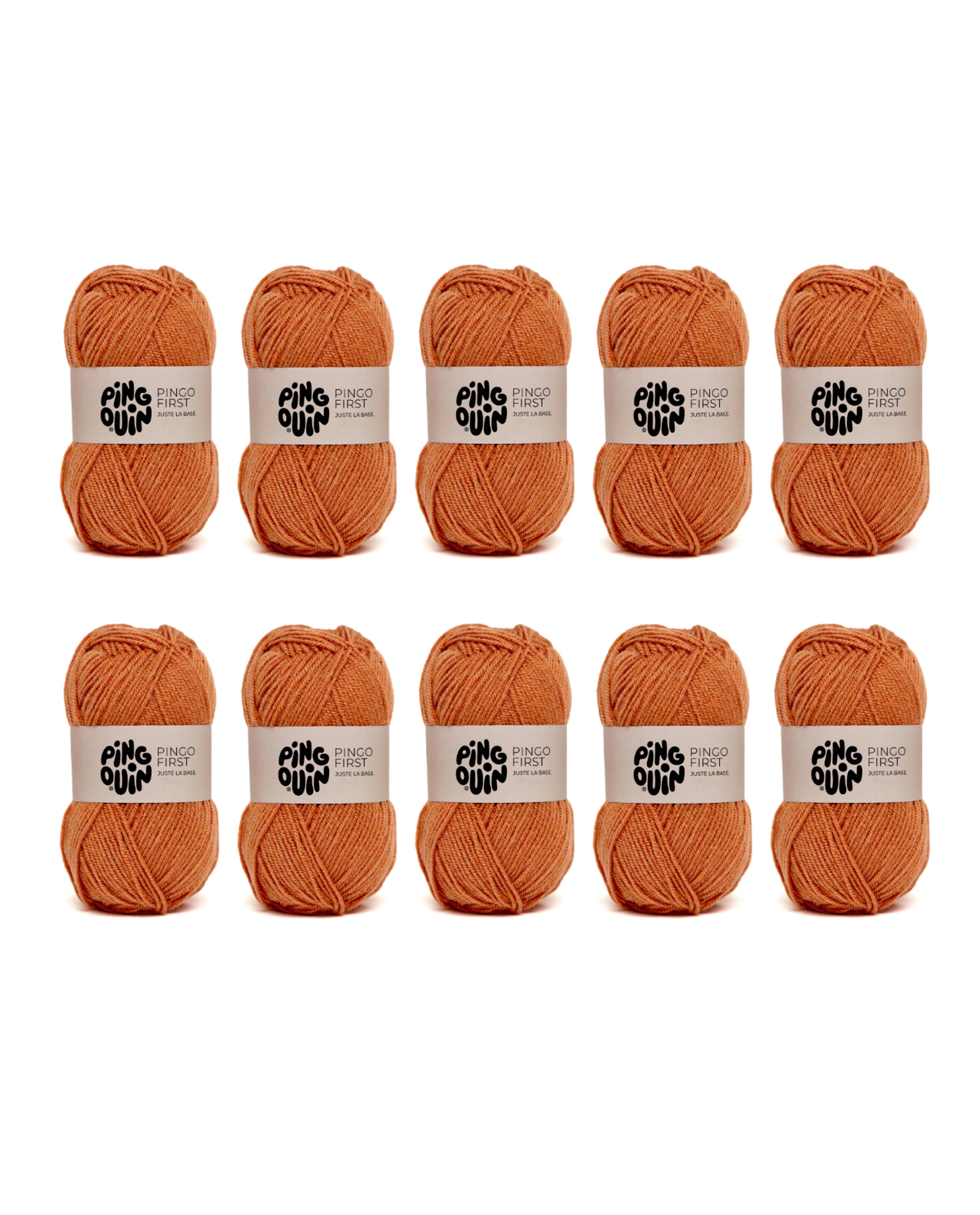 Lot de 10 - Pingo First