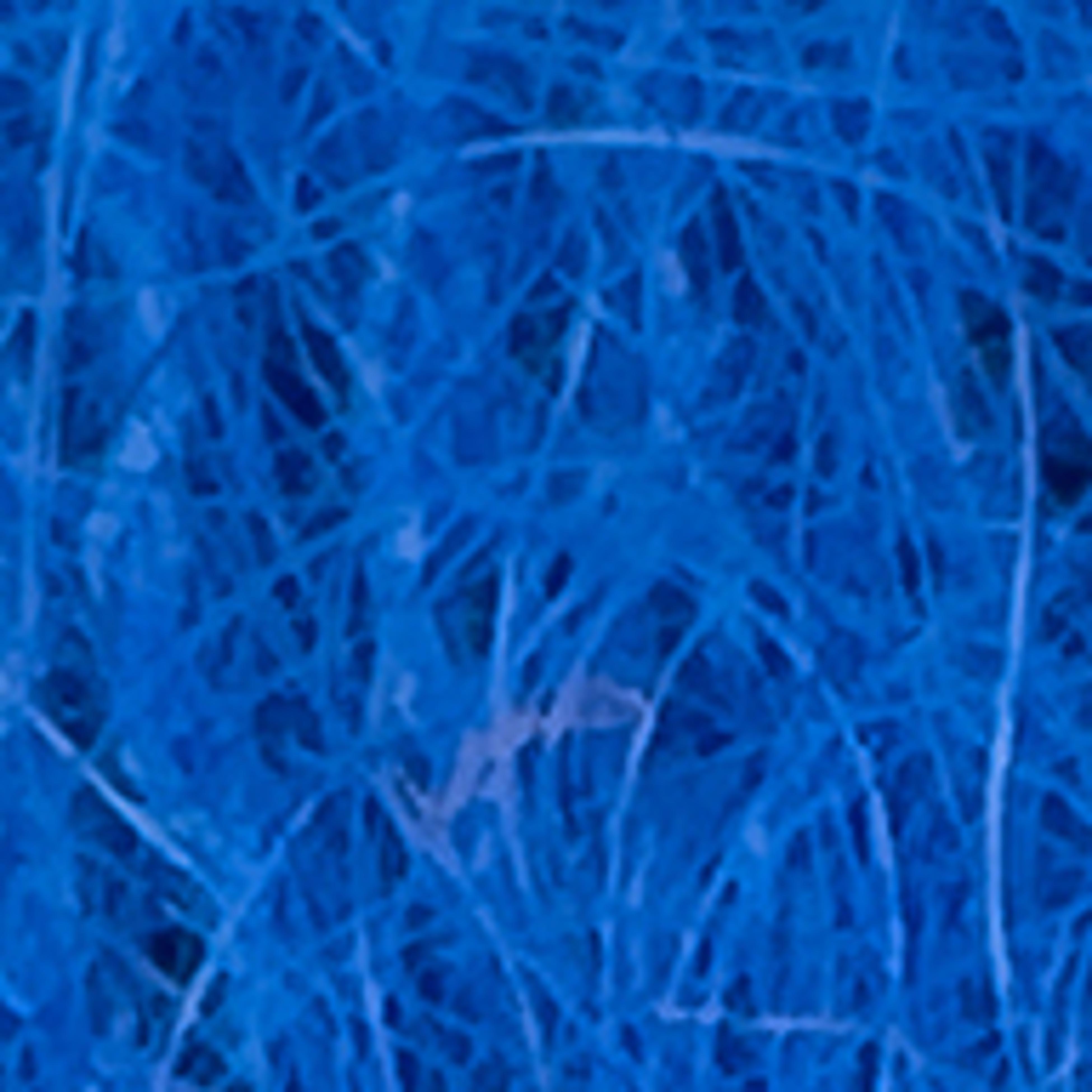 DEEP BLUE