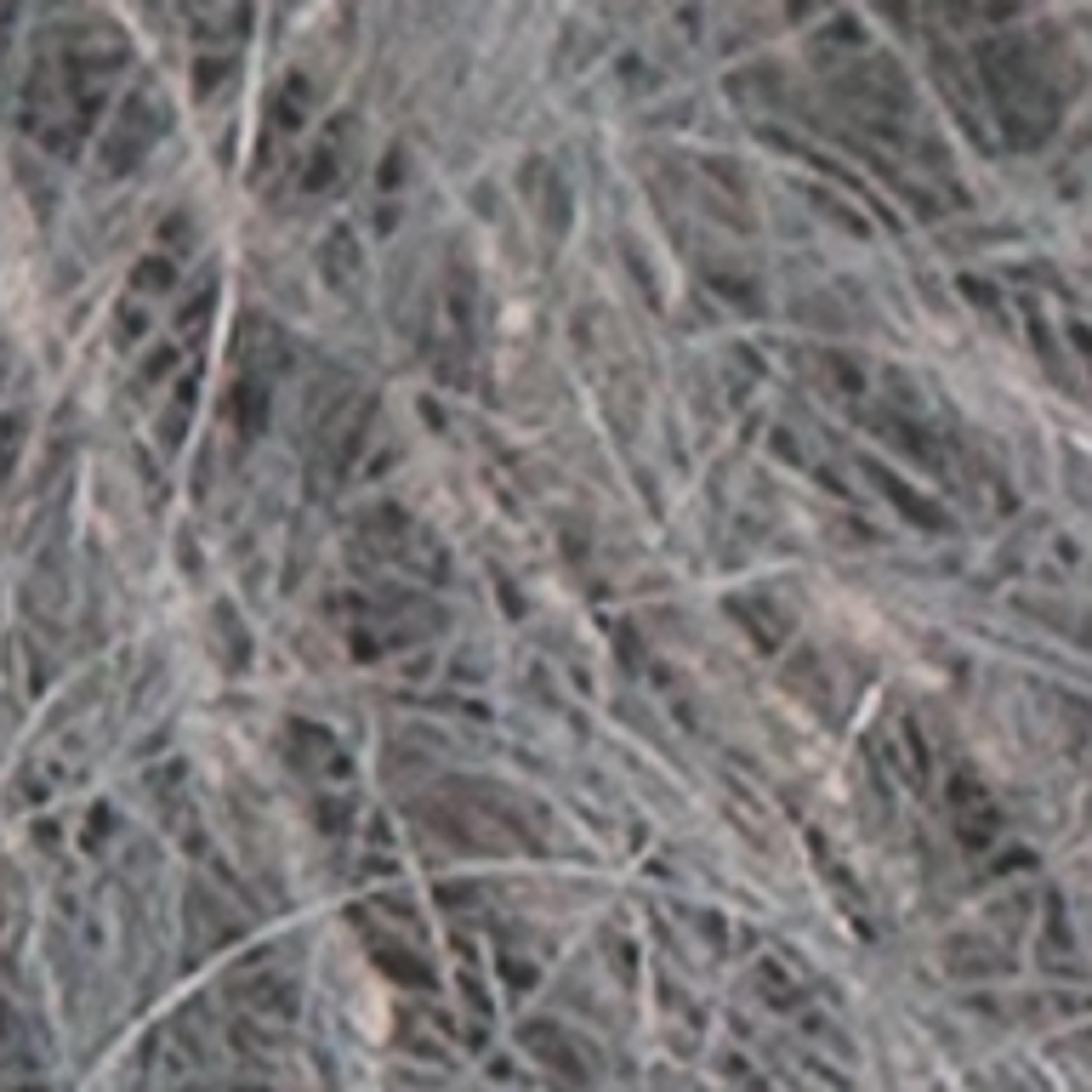 Variant thumbnail