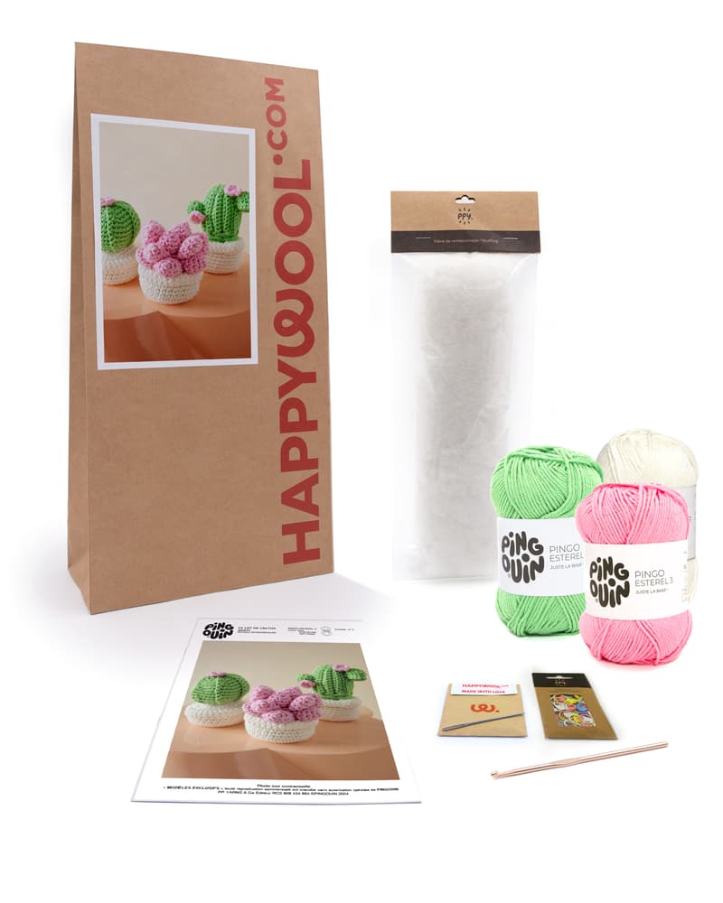 Kit Débutant Crochet Pour Faire Des Fleurs DIY – Inclus Fil, Crochet, Aiguille, Rembourrage Et Instructions – Bouquet Déco Maison Ou Cadeau